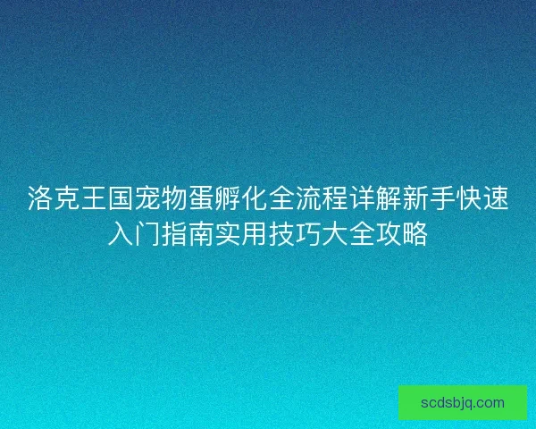 洛克王国宠物蛋孵化全流程详解新手快速入门指南实用技巧大全攻略
